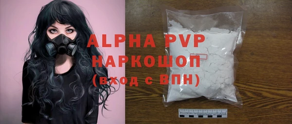 индика Коряжма