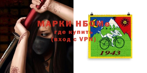 индика Коряжма