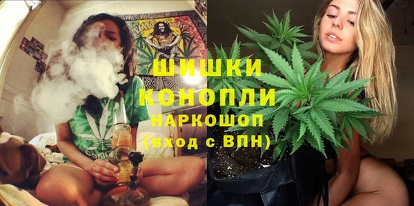 индика Коряжма