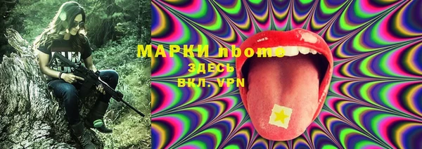 индика Коряжма