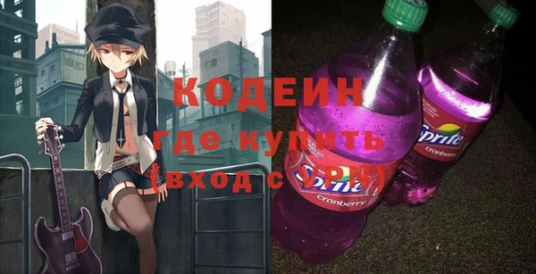 индика Коряжма