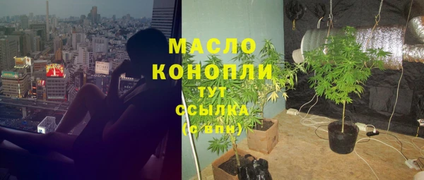 индика Коряжма