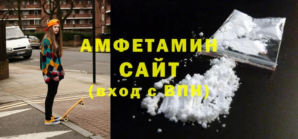 индика Коряжма