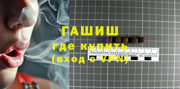 индика Коряжма