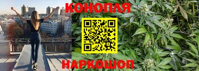 PSILOCYBIN Кандалакша