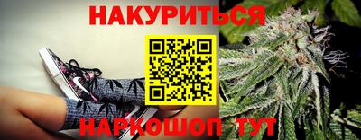 тгк Канаш