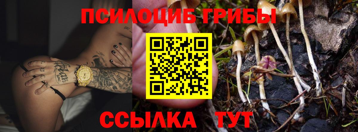 Псилоцибиновые грибы Magic Shrooms Мелеуз