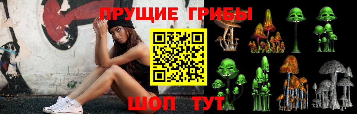 Мелеуз  Псилоцибиновые грибы Magic Shrooms  Псилоцибиновые грибы Psilocybine cubensis  Вход с VPN 
